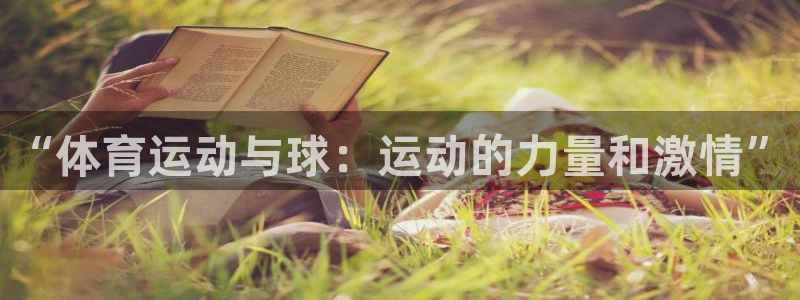 “体育运动与球：运动的力量和激情”