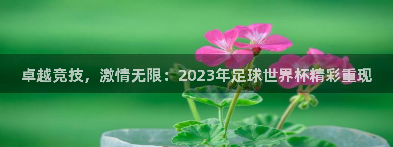 卓越竞技，激情无限：2023年足球世界杯精彩重现