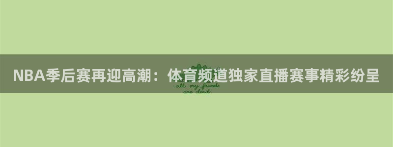 NBA季后赛再迎高潮：体育频道独家直播赛事精彩纷呈