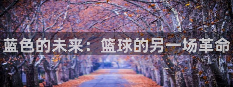 蓝色的未来：篮球的另一场革命