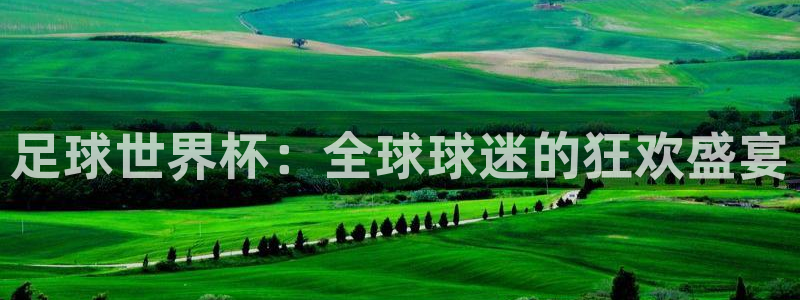 足球世界杯：全球球迷的狂欢盛宴