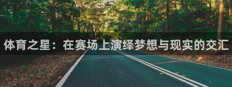 体育之星：在赛场上演绎梦想与现实的交汇