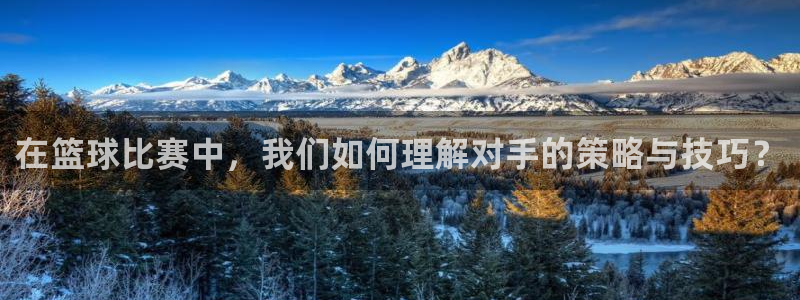 在篮球比赛中，我们如何理解对手的策略与技巧？