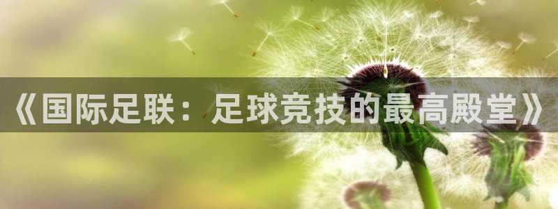 《国际足联：足球竞技的最高殿堂》