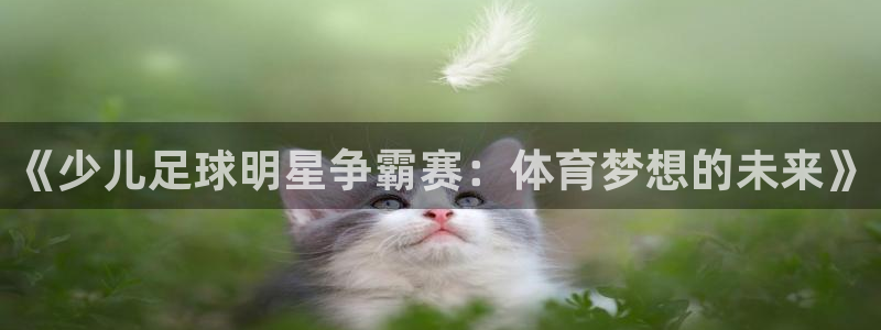 《少儿足球明星争霸赛：体育梦想的未来》